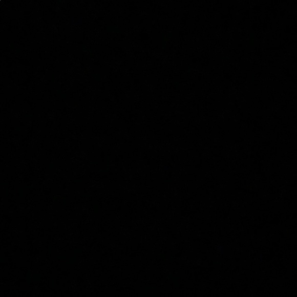 Meet your Posher, Haley - Picture 1 of 1